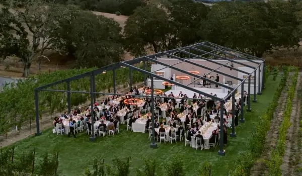 Concert and Performance